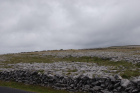 Stone walls and karst pavements and topography of the Burren approx 5km south of Ballyvaughan Co Clare Ireland. Exposures of the Dinantian Burren Limestone Formation are composed of shallow water carbonates. Note the clints (limestone blocks) and grikes (joints formed by Variscan folding (Coller, 1984) and fracturing) enlarged by Pleistocene disolution (Williams, 1966).